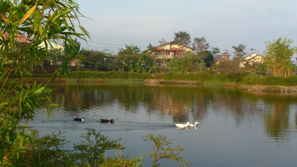 Colombo Airport Homestay Гампаха Экстерьер фото